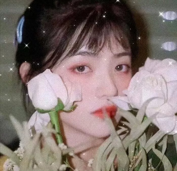 剧集连载